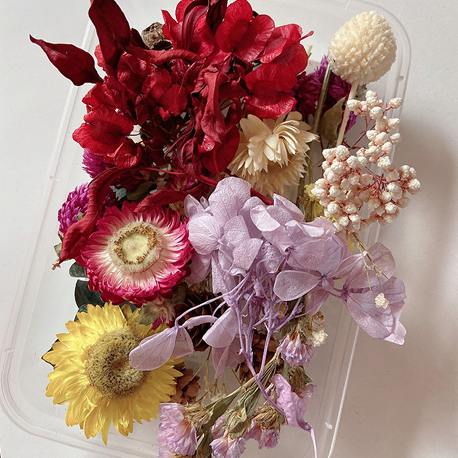 Natural Dried Flower Kit Press - Home Fragrance Gift Set 리뷰 및 가격