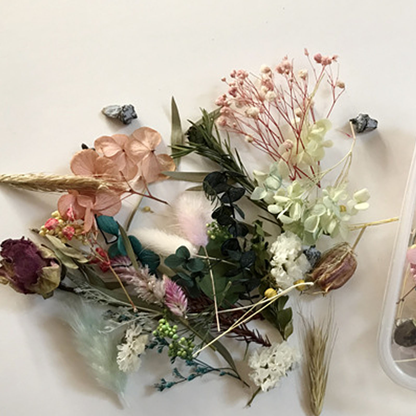 Natural Dried Flower Kit Press - Home Fragrance Gift Set 리뷰 및 가격