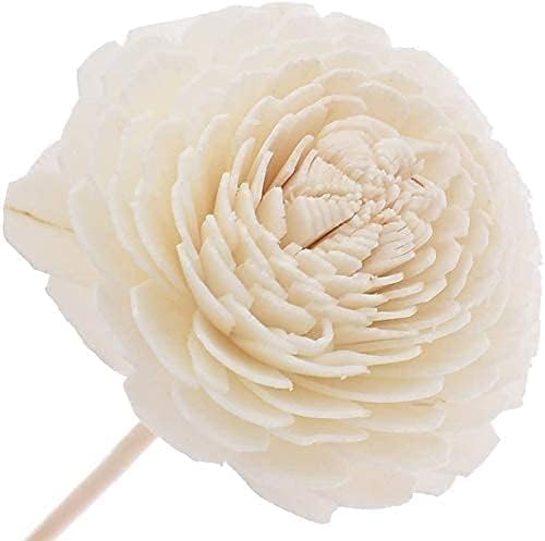 Natural Rattan Reed Diffuser S - Home Fragrance Diffuser Refills 리뷰 및 가격