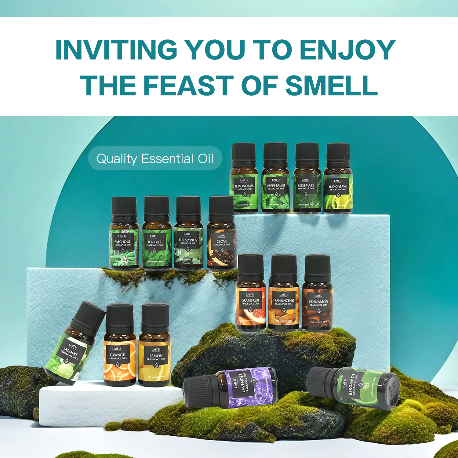 16x10ml Essential Oils Set for - Home Fragrance Gift Set 리뷰 및 가격