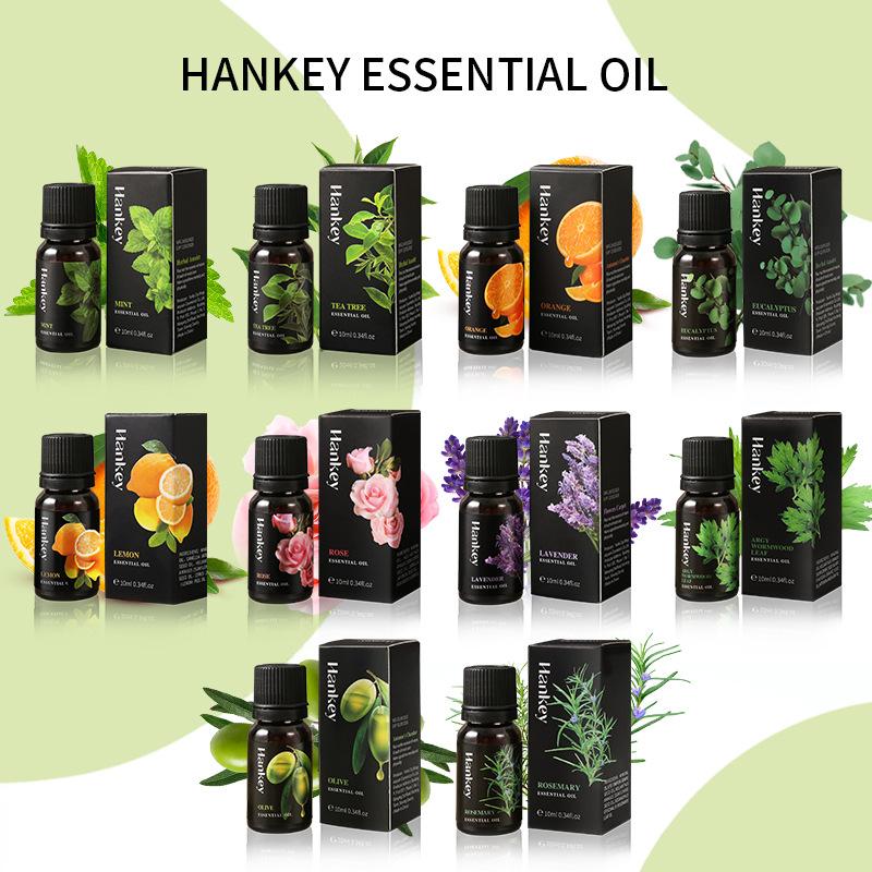 12 Flavors 10ml Essential Oils - Home Fragrance Glade 리뷰 및 가격