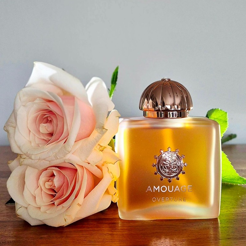 AMOUAGE Luxury Women Perfume 1 - Home Fragrance Vanilla Musk 리뷰 및 가격