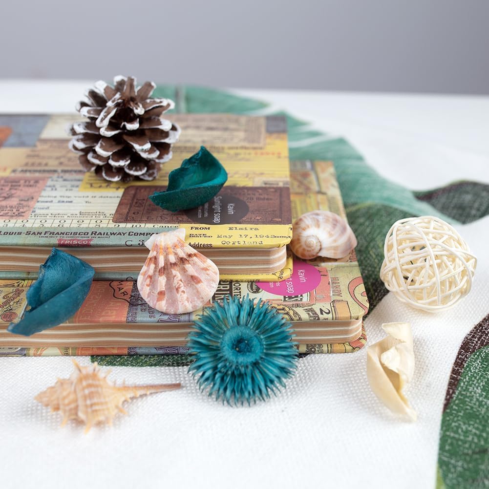 Sea Shell Potpourri Bag Ocean  - Home Fragrance Ocean Breeze 리뷰 및 가격